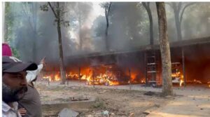 छतबीड़ जू हादसा: इलेक्ट्रिक वाहनों में लगी आग से मचा हड़कंप, 19 ई-कारें जलकर राख