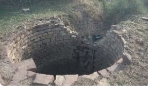 वन्यजीव सुरक्षा में बड़ा कदम: बांधवगढ़ के 4100 कुओं पर बनेगी मुंडेर, प्रशासन-रिजर्व ने मिलाया हाथ