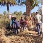 गौवंश तस्करी करते तस्कर फरार, पुलिस की घेराबंदी में पलटा वाहन, तीन गायों की जान गई