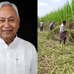 बिहार में चीनी उद्योग को बढ़ाने दिया गन्ने का रकबा बढ़ाने का टारगेट