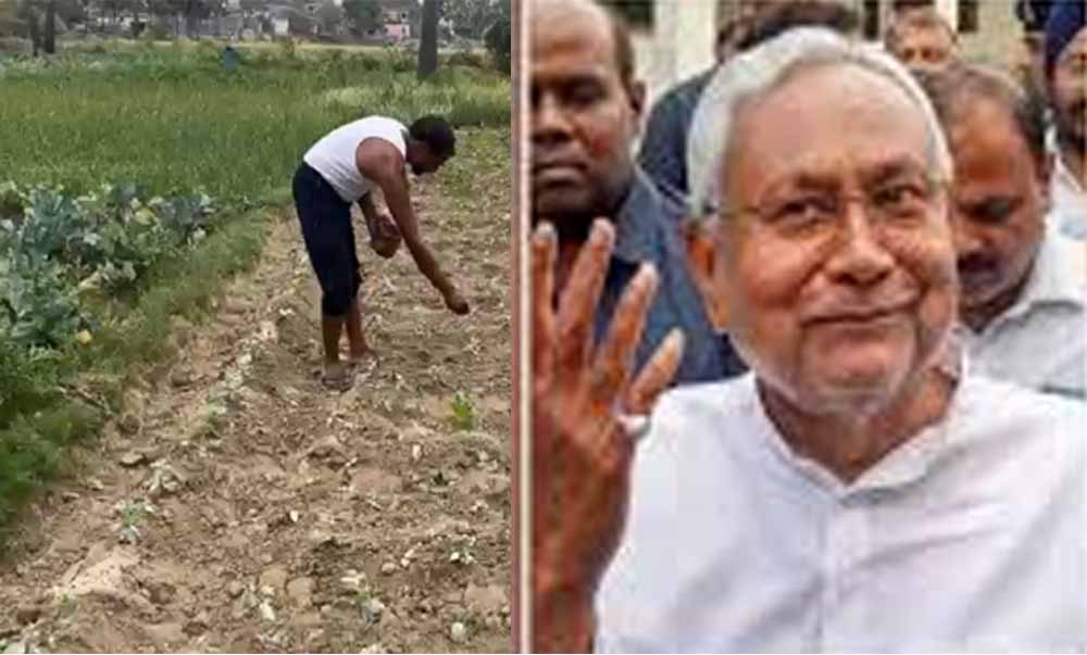 बाप-दादा के नाम वाली जमीन की वंशावली के आधार पर बनेगी किसानों की ID