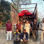 चांपा के गुप्त गोदाम पर छापा, वन विभाग की बड़ी कार्रवाई