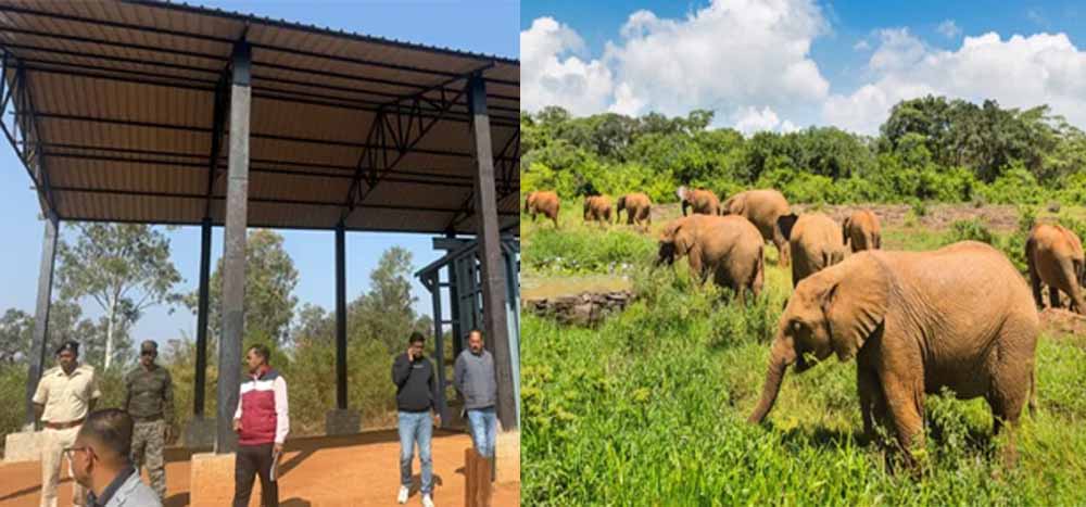 आधुनिक ‘एलीफेंट केयर सेंटर’ में हाथियों को मिलेगा नया जीवन