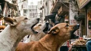 राजस्थान में दिल दहला देने वाली घटना: स्कूल जाते ही 4 साल के बच्चे पर कुत्ते का हमला