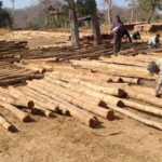 वन विकास निगम में ‘डिजिटल क्रांति‘ और ‘रोजगार संगम‘ का सफल मॉडल