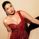 ऑस्कर 2026 की प्रेजेंटर्स लिस्ट में प्रियंका चोपड़ा शामिल, पोस्ट शेयर कर दी जानकारी,  जाकिर खान ने किया रिएक्ट