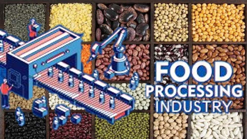 MP में दाल प्रसंस्करण और पैकेजिंग इकाई शुरू करने पर किसानों को मिलेगा 33% की सब्सिडी, 25 लाख का लोन