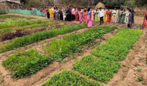 एक्सपोजर विजिट में सीखीं इंटीग्रेटेड फार्मिंग की बारीकियां