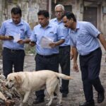 भोपाल में ‘कुत्ते’ से पंगा पड़ा महंगा! भेल कर्मचारी ने 8 दिन की छुट्टी लेकर किया सर्च ऑपरेशन