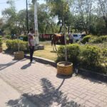 घोड़ा बना ‘आरोपी’: पार्क की घास चरते पकड़ा गया, मालिक पर भी कार्रवाई की तैयारी