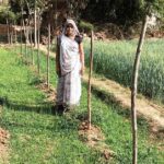 सब्जी उत्पादन से आरती की सालाना आय पहुँची 1.13 लाख