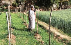 सब्जी उत्पादन से आरती की सालाना आय पहुँची 1.13 लाख