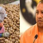यूपी के किसानों से ₹1500 प्रति क्विंटल में होगी आलू खरीदी!