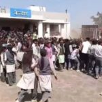 रंगों के बीच दहशत: विश्वविद्यालय में मधुमक्खियों ने विद्यार्थियों पर बोला हमला