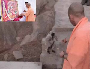 योगी का जालोर संदेश: जौहर को बताया स्वाभिमान की ज्वाला, बंदरों के उदाहरण से समझाई लोभ से मुक्ति