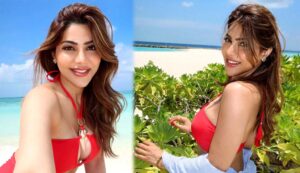 निक्की तंबोली की बिकिनी तस्वीरें, BF के साथ रोमांटिक पल, दूसरे धर्म में शादी की योजना!