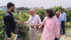 बिहार की ‘स्वीट सिटी’ पहुंची पंजाब के किसानों की टोली, नाबार्ड के सहयोग से लीची की उन्नत खेती का प्रशिक्षण शुरू