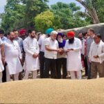 पंजाब मंडियों में 28 लाख मीट्रिक टन गेहूं की आवक, 24 लाख से ज्यादा की हुई खरीदारी: लाल चंद कटारूचक्क