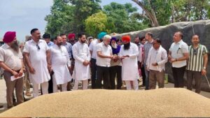 पंजाब मंडियों में 28 लाख मीट्रिक टन गेहूं की आवक, 24 लाख से ज्यादा की हुई खरीदारी: लाल चंद कटारूचक्क