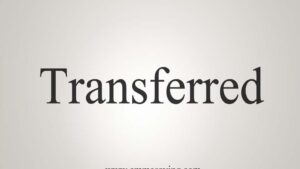 पुलिस विभाग में एक साथ 14 पुलिसकर्मियों का तबादला, जानें किसे कहां किया गया तैनात