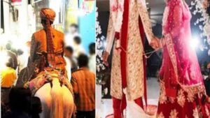 हरियाणा का नया प्लान: बैंक्वेट हॉल से लेकर गार्डन तक, एक ही जगह पूरी शादी की व्यवस्था