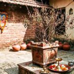 सूखी तुलसी भी बदल सकती है किस्मत, वास्तु के 3 चमत्कारी उपाय