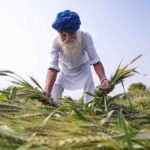 कुदरत की मार और अन्नदाता का दर्द,उत्तर प्रदेश में बारिश-बिजली से 20 मौतें, मुख्यमंत्री ने दिए तुरंत मुआवजे के निर्देश