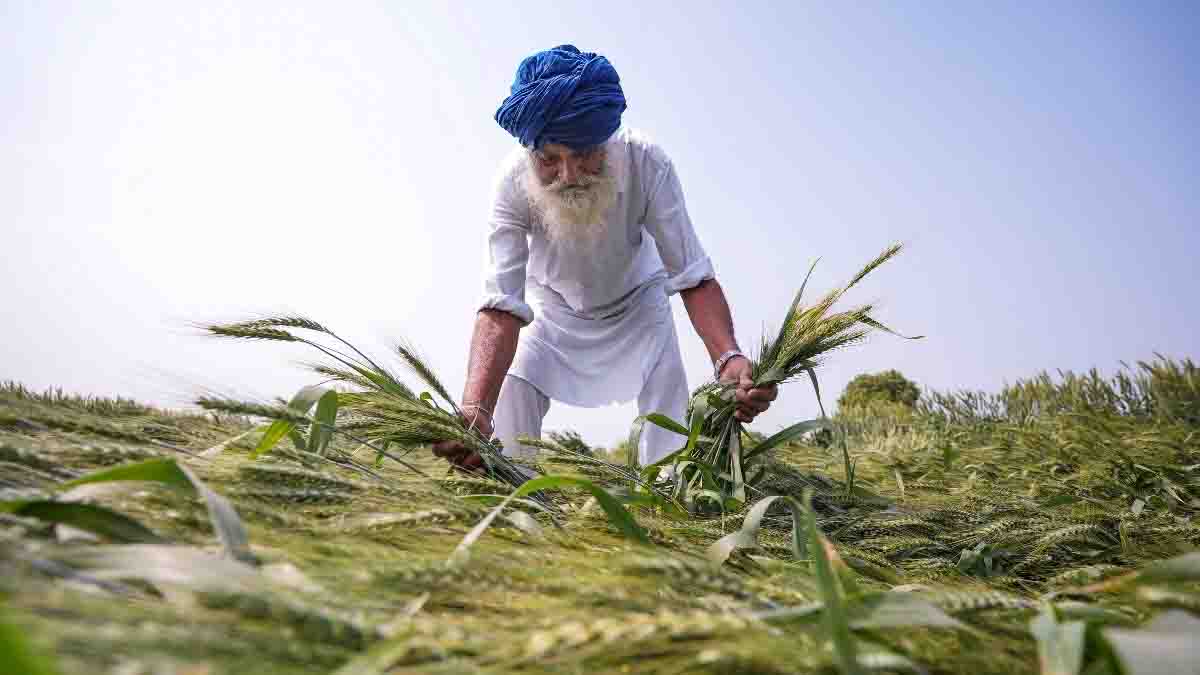 कुदरत की मार और अन्नदाता का दर्द,उत्तर प्रदेश में बारिश-बिजली से 20 मौतें, मुख्यमंत्री ने दिए तुरंत मुआवजे के निर्देश