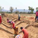 छत्तीसगढ़ ने बनाया रिकॉर्ड: मनरेगा श्रमिकों की 97.11% ई-केवाईसी पूरी, देश में अव्वल