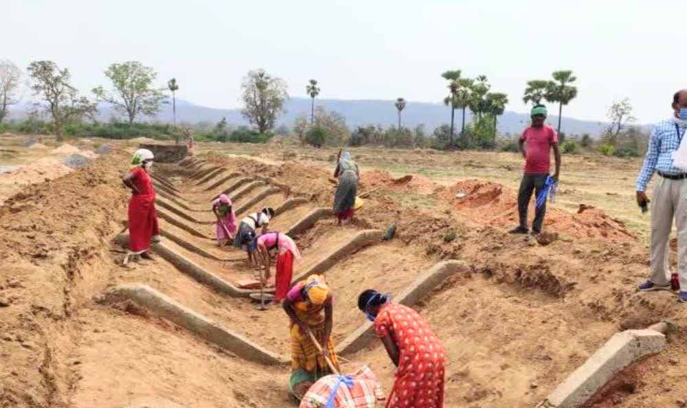 छत्तीसगढ़ ने बनाया रिकॉर्ड: मनरेगा श्रमिकों की 97.11% ई-केवाईसी पूरी, देश में अव्वल