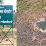 Forest Protection Model: उदंती सीतानदी में 750 जल स्रोतों के साथ ‘फायर-वॉटर’ रणनीति, आग पर काबू