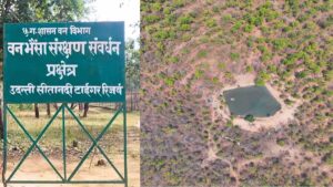 Forest Protection Model: उदंती सीतानदी में 750 जल स्रोतों के साथ ‘फायर-वॉटर’ रणनीति, आग पर काबू