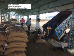 समर्थन मूल्य पर पहले दिन हुई 1616 क्विंटल गेहूँ की खरीदी : खाद्य मंत्री राजपूत