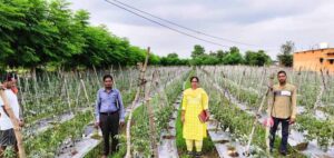 राष्ट्रीय कृषि विकास योजना: ईश्वरी प्रसाद ने टमाटर उत्पादन से कमाए 02 लाख 90 हजार रूपए