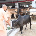 योगी सरकार का डेयरी मास्टर प्लान : 2 से 25 गाय तक लाखों का अनुदान, किसानों को सीधा फायदा