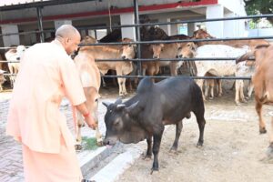 योगी सरकार का डेयरी मास्टर प्लान : 2 से 25 गाय तक लाखों का अनुदान, किसानों को सीधा फायदा