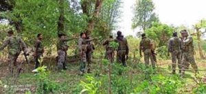 पश्चिमी सिंहभूम में बड़ा एनकाउंटर, कोबरा 209 बटालियन और नक्सलियों में मुठभेड़