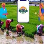 घर बैठे गन्ना खेती की पूरी जानकारी, 32 हजार किसान ऐप से जुड़े