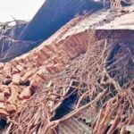 पेड़ और पोल गिरने से जनजीवन प्रभावित, बिजली-ट्रेन सेवाएं बाधित