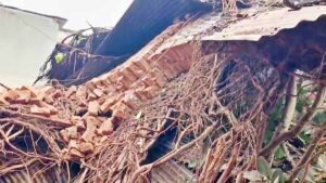 पेड़ और पोल गिरने से जनजीवन प्रभावित, बिजली-ट्रेन सेवाएं बाधित