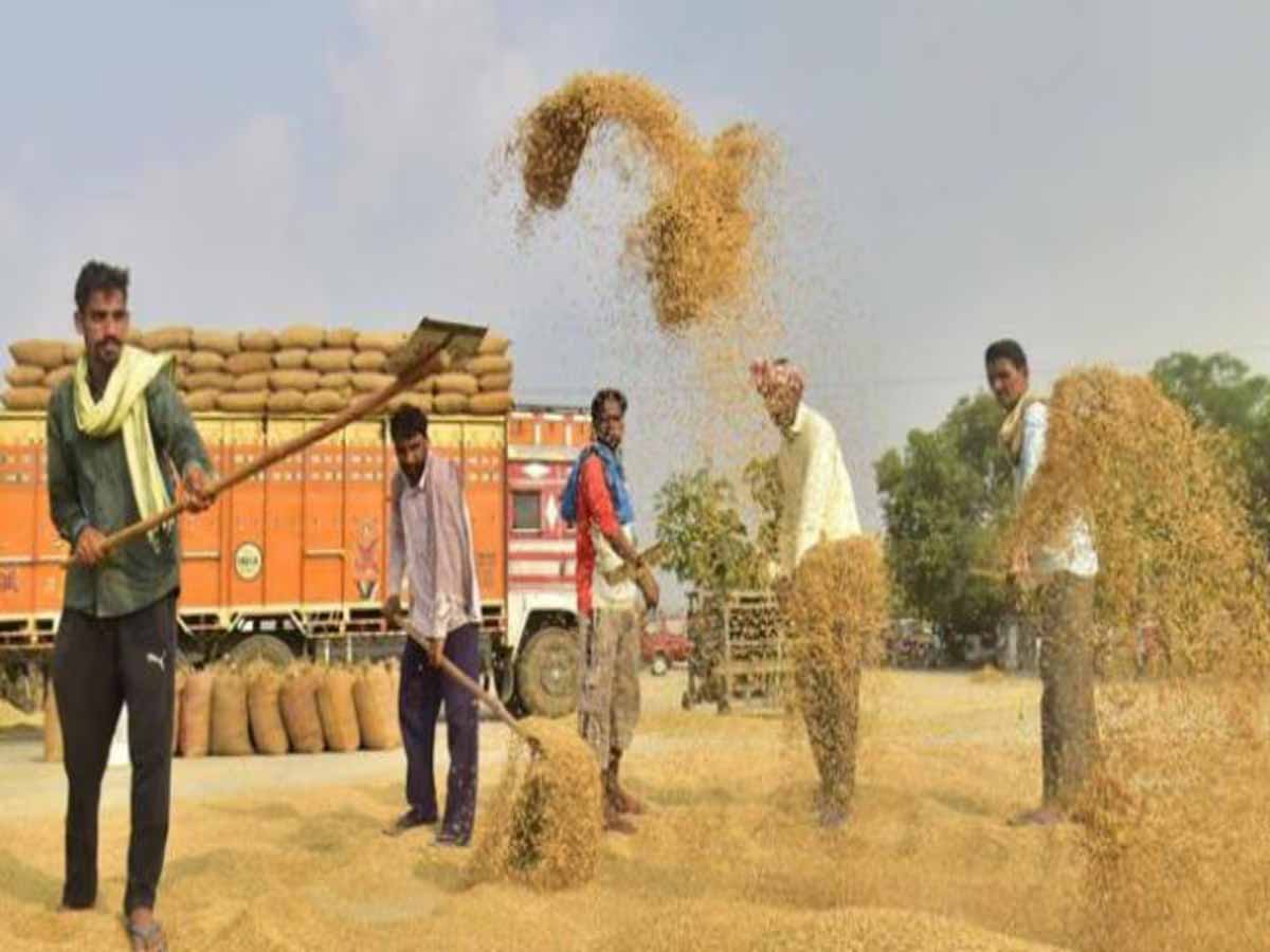 नायब सिंह सैनी सरकार का बड़ा कदम: अफ्रीकी देश तंजानिया के साथ 1 लाख एकड़ कृषि भूमि को लेकर समझौता