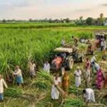 बिचौलियों की भूमिका खत्म, बिहार में 17.37 करोड़ लाभार्थियों को मिला डीबीटी का लाभ