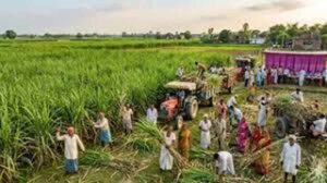 बिचौलियों की भूमिका खत्म, बिहार में 17.37 करोड़ लाभार्थियों को मिला डीबीटी का लाभ