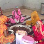 मध्यप्रदेश का सर्वाधिक राजस्व देने वाला वन-धन विकास केंद्र