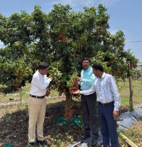 वैज्ञानिक उपलब्धि से मिला किसानों को आर्थिक संबल