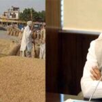 अब तक 100 लाख मीट्रिक टन से अधिक गेहूं का उपार्जन हुआ, अभी भी जारी