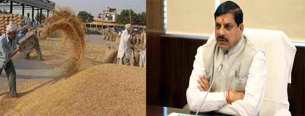 अब तक 100 लाख मीट्रिक टन से अधिक गेहूं का उपार्जन हुआ, अभी भी जारी