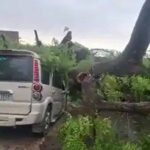 तेज आंधी और बारिश से उत्तर प्रदेश में भारी तबाही, 52 लोगों ने गंवाई जान