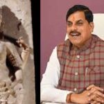 विधिसम्मत ढंग से विदेश से वाग्देवी की प्रतिमा लाने की होगी पहल : मुख्यमंत्री डॉ. यादव