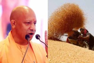 प्रदेश में गेहूं खरीद ने पकड़ी रफ्तार, 28 अप्रैल तक 6.10 लाख मीट्रिक टन गेहूं की खरीद